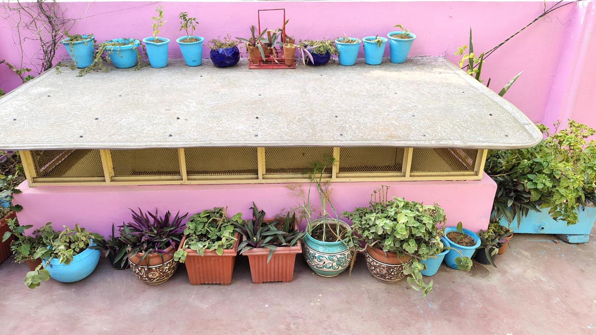 Ali Baba Hostel Jaipur Luaran gambar